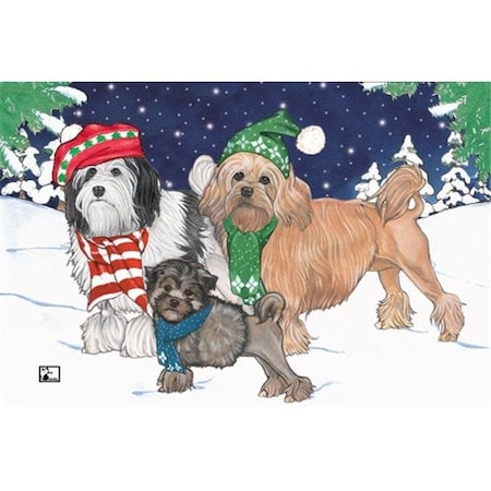 Pipsqueak Productions Pipsqueak Productions C494 Holiday Boxed Cards- Lowchen C494